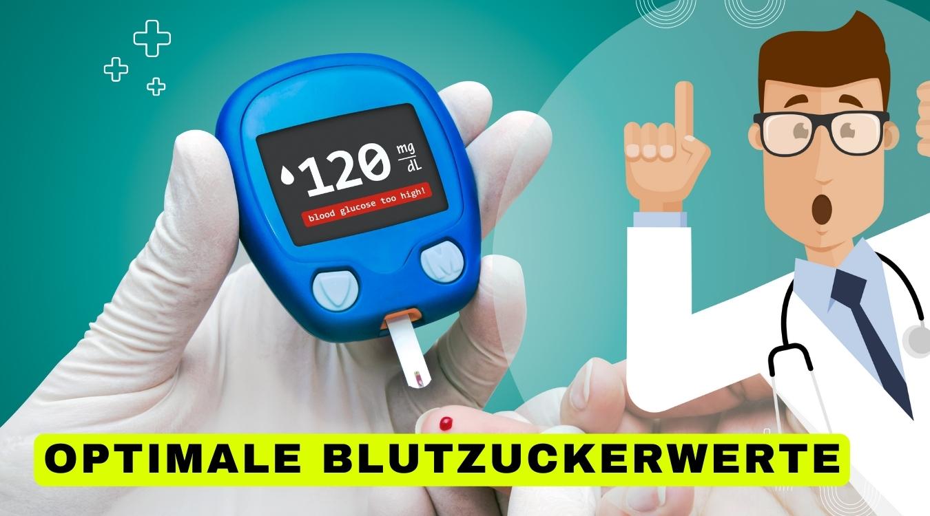 Optimale Blutzuckerwerte1